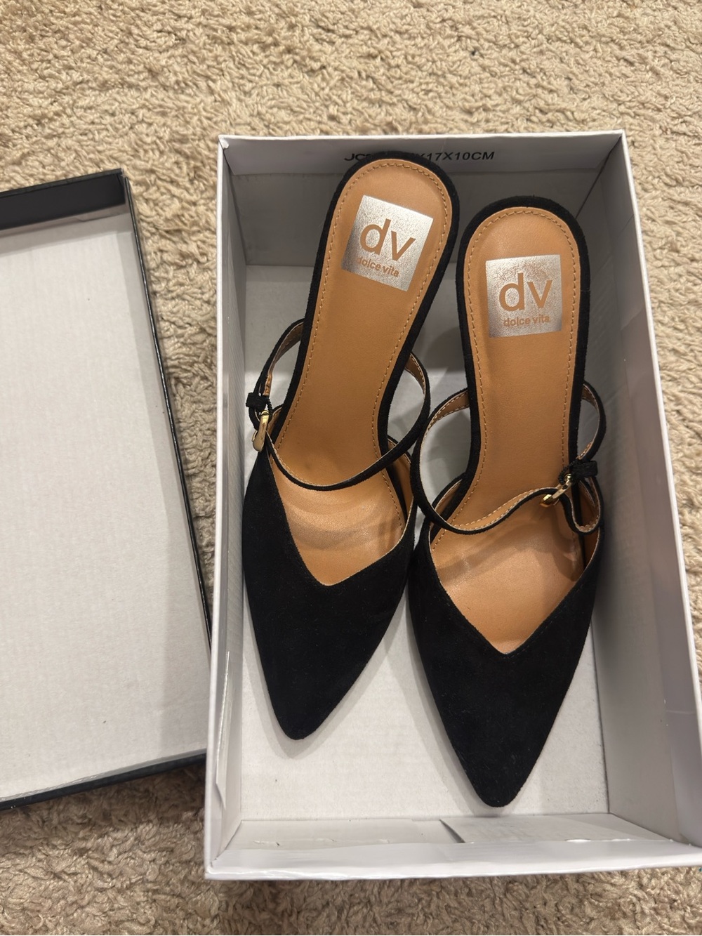 DV by Dolce Vita Black Pointed Slingback Heels with Ankle Strap